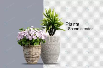 isolated fresh plant wooden basket 10 crc47bf7a80 size9.72mb - title:graphic home - اورچین فایل - format: - sku: - keywords: p_id:353984