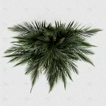 - isometric plant 3d rendering 11 crc4391146e size67.88mb 1 - Home