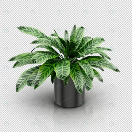 isometric plant 3d rendering 20 crc724feef0 size55.35mb 1 - title:graphic home - اورچین فایل - format: - sku: - keywords: p_id:353984