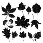 - leaves silhouette white background vector crcf2014867 size3.31mb - Home