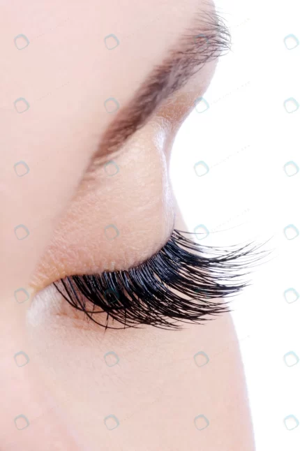 macro shot female eye with long false eyelashes crc284f3f88 size2.82mb 2832x4256 - title:graphic home - اورچین فایل - format: - sku: - keywords: p_id:353984