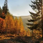 majestic colourful autumn landscape with morning s rnd626 frp13432221 - title:Home - اورچین فایل - format: - sku: - keywords:وکتور,موکاپ,افکت متنی,پروژه افترافکت p_id:63922