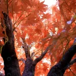 maple trees with colored leafs red background shot rnd598 frp3780504 - title:Home - اورچین فایل - format: - sku: - keywords:وکتور,موکاپ,افکت متنی,پروژه افترافکت p_id:63922