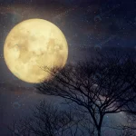 milky way star night skies full moon old tree ret crc92800385 size12.41mb 5873x3915 - title:Home - اورچین فایل - format: - sku: - keywords:وکتور,موکاپ,افکت متنی,پروژه افترافکت p_id:63922