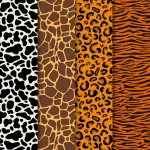 - modern animal print pattern set crc2815f904 size2.38mb - Home