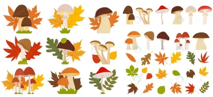 mushroom leaves autumn set flat style isolated vec rnd113 frp29880731 - title:graphic home - اورچین فایل - format: - sku: - keywords: p_id:353984