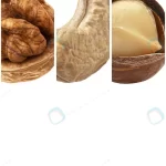 nuts collage isolated white background with copy crcfcaa5d0a size4.84mb 5980x2000 - title:Home - اورچین فایل - format: - sku: - keywords:وکتور,موکاپ,افکت متنی,پروژه افترافکت p_id:63922