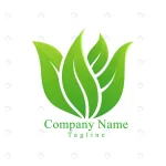 organic green leaf logo design vector template eco rnd995 frp31521348 - title:Home - اورچین فایل - format: - sku: - keywords:وکتور,موکاپ,افکت متنی,پروژه افترافکت p_id:63922
