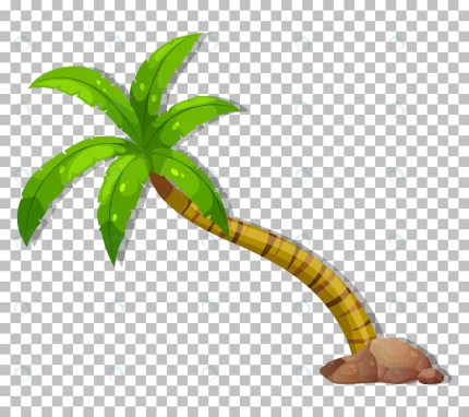 palm tree transparent background 2 crc20dca527 crc20dca527 size1.94mb - title:graphic home - اورچین فایل - format: - sku: - keywords: p_id:353984