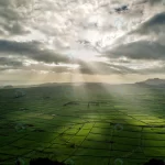 panoramic shot agrucultural field with rays sun s crcb3238196 size15.49mb 5760x3840 - title:Home - اورچین فایل - format: - sku: - keywords:وکتور,موکاپ,افکت متنی,پروژه افترافکت p_id:63922