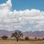 panoramic view namib desert namibia crc5166489c size10.89mb 10000x2592 - title:Home - اورچین فایل - format: - sku: - keywords:وکتور,موکاپ,افکت متنی,پروژه افترافکت p_id:63922