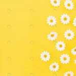 - pattern daysies yellow background with space left crc05d7e98c size13.10mb 5144x3430 - Home