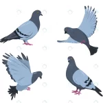 pigeon birds set doves different poses isolated w crc50381d81 size0.60mb 1 - title:Home - اورچین فایل - format: - sku: - keywords:وکتور,موکاپ,افکت متنی,پروژه افترافکت p_id:63922