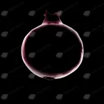 pomegranate silhouette crc613bd2ee size538.13kb 2742x3839 - title:Home - اورچین فایل - format: - sku: - keywords:وکتور,موکاپ,افکت متنی,پروژه افترافکت p_id:63922