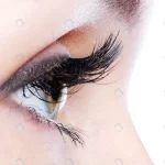 profile view human eye with long curl false eyela crc0266b7d9 size3.14mb 4256x2832 - title:Home - اورچین فایل - format: - sku: - keywords:وکتور,موکاپ,افکت متنی,پروژه افترافکت p_id:63922