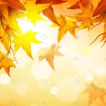 realistic autumn background with leaves crc8a18dce2 size15.47mb - title:Home - اورچین فایل - format: - sku: - keywords:وکتور,موکاپ,افکت متنی,پروژه افترافکت p_id:63922