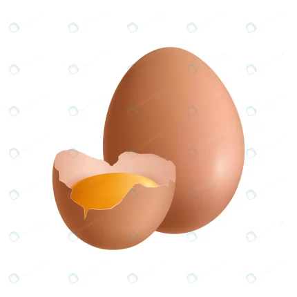 realistic egg illustration crcfa72540f size1.22mb - title:graphic home - اورچین فایل - format: - sku: - keywords: p_id:353984