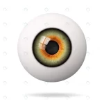 realistic human eyeball retina is foreground rnd318 frp5218213 - title:Home - اورچین فایل - format: - sku: - keywords:وکتور,موکاپ,افکت متنی,پروژه افترافکت p_id:63922