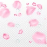- realistic sakura flower petals background crcd47557dc size11.82mb - Home