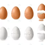 realistic white brown cracked open egg set isolat crcac4e0dcb size3.84mb - title:Home - اورچین فایل - format: - sku: - keywords:وکتور,موکاپ,افکت متنی,پروژه افترافکت p_id:63922