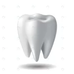 realistic white tooth isolated white background s crc1ee5c038 size0.94mb - title:Home - اورچین فایل - format: - sku: - keywords:وکتور,موکاپ,افکت متنی,پروژه افترافکت p_id:63922