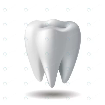 realistic white tooth isolated white background s crc1ee5c038 size0.94mb - title:graphic home - اورچین فایل - format: - sku: - keywords: p_id:353984