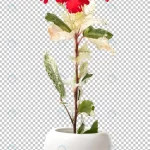 red hibiscus flower pot isolated crc079d9761 size19.57mb - title:Home - اورچین فایل - format: - sku: - keywords:وکتور,موکاپ,افکت متنی,پروژه افترافکت p_id:63922