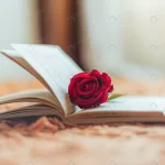 - red rose inside open book crc498514b2 size10.89mb 5020x4016 - Home