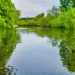 - river landscape green forest with trees blue water rnd760 frp26533173 - Home