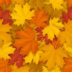 seamless pattern with autumn fallen maple leaves. crc4554039b size8.54mb - title:Home - اورچین فایل - format: - sku: - keywords:وکتور,موکاپ,افکت متنی,پروژه افترافکت p_id:63922