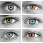 set 6 colorful different open eyes huge size rnd682 frp27797897 - title:Home - اورچین فایل - format: - sku: - keywords:وکتور,موکاپ,افکت متنی,پروژه افترافکت p_id:63922