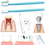 set all types teeth with dental cleaning equipmen crcaa7944cf size3.99mb - title:Home - اورچین فایل - format: - sku: - keywords:وکتور,موکاپ,افکت متنی,پروژه افترافکت p_id:63922