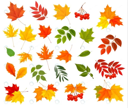 set colorful autumn leaves crcb1bafc4b size14.06mb - title:graphic home - اورچین فایل - format: - sku: - keywords: p_id:353984