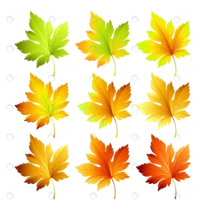 set colorful autumn leaves crced30ebde size2.87mb - title:graphic home - اورچین فایل - format: - sku: - keywords: p_id:353984