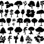 - set plant tree silhouette crc2a8aecde size2.65mb - Home