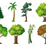 set variety plants trees crcfb603530 size5.43mb - title:Home - اورچین فایل - format: - sku: - keywords:وکتور,موکاپ,افکت متنی,پروژه افترافکت p_id:63922