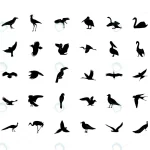 set wild birds templates black icons isolated crc6fb7841b size0.74mb - title:Home - اورچین فایل - format: - sku: - keywords:وکتور,موکاپ,افکت متنی,پروژه افترافکت p_id:63922