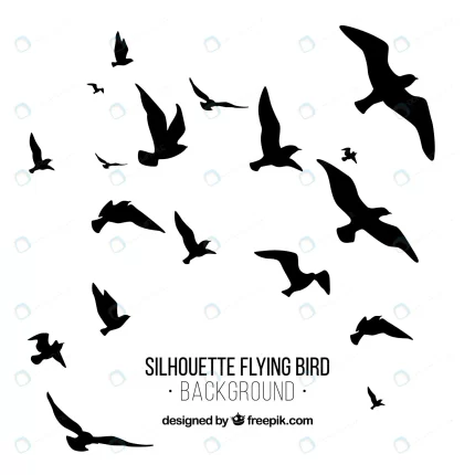 silhouette flying bird background crc666549fb size1.11mb 1 - title:graphic home - اورچین فایل - format: - sku: - keywords: p_id:353984