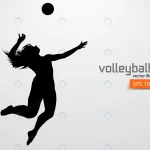 silhouette volleyball player woman crc6a8613ae size0.79mb - title:Home - اورچین فایل - format: - sku: - keywords:وکتور,موکاپ,افکت متنی,پروژه افترافکت p_id:63922