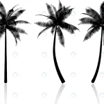 silhouettes palm trees crc665da257 size2.50mb - title:Home - اورچین فایل - format: - sku: - keywords:وکتور,موکاپ,افکت متنی,پروژه افترافکت p_id:63922