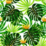 summer seamless pattern with tropical plants flow crc2503d5ac size12.01mb - title:Home - اورچین فایل - format: - sku: - keywords:وکتور,موکاپ,افکت متنی,پروژه افترافکت p_id:63922