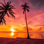 - sunset time tropical beach sea with coconut palm crc6b602851 size12.95mb 6000x4000 - Home