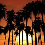 sunset with palm tree crc7228387e size12.97mb 6000x3750 - title:Home - اورچین فایل - format: - sku: - keywords:وکتور,موکاپ,افکت متنی,پروژه افترافکت p_id:63922