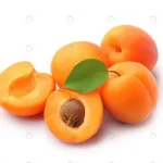 sweet apricot fruts isolated white crcef0707f6 size1.87mb 2921x2298 - title:Home - اورچین فایل - format: - sku: - keywords:وکتور,موکاپ,افکت متنی,پروژه افترافکت p_id:63922
