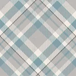 tartan scotland seamless plaid pattern retro back crcf0b2e4b4 size0.89mb 1 - title:Home - اورچین فایل - format: - sku: - keywords:وکتور,موکاپ,افکت متنی,پروژه افترافکت p_id:63922