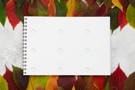 top view selection autumn leaves with notebook crc48e15fc2 size1.11mb 5460x3645 - title:graphic home - اورچین فایل - format: - sku: - keywords: p_id:353984