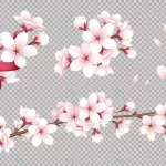 transparent realistic blooming cherry flowers pet crcf588299d size4.63mb - title:Home - اورچین فایل - format: - sku: - keywords:وکتور,موکاپ,افکت متنی,پروژه افترافکت p_id:63922