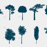 tree collection crcaab5d367 size5.22mb - title:Home - اورچین فایل - format: - sku: - keywords:وکتور,موکاپ,افکت متنی,پروژه افترافکت p_id:63922