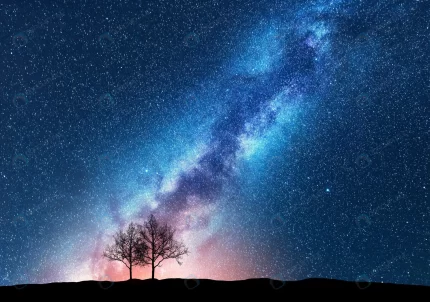 trees against starry sky with milky way crc4dceab43 size49.22mb 7200x5059 - title:graphic home - اورچین فایل - format: - sku: - keywords: p_id:353984