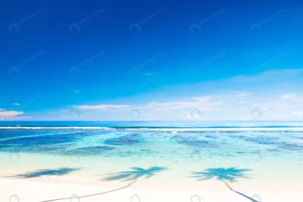 tropical beach samoa crc1f7aeebc size6.51mb 4000x2657 - title:graphic home - اورچین فایل - format: - sku: - keywords: p_id:353984